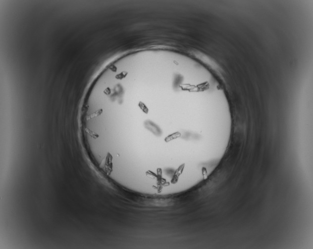 X0000083031423200703022016