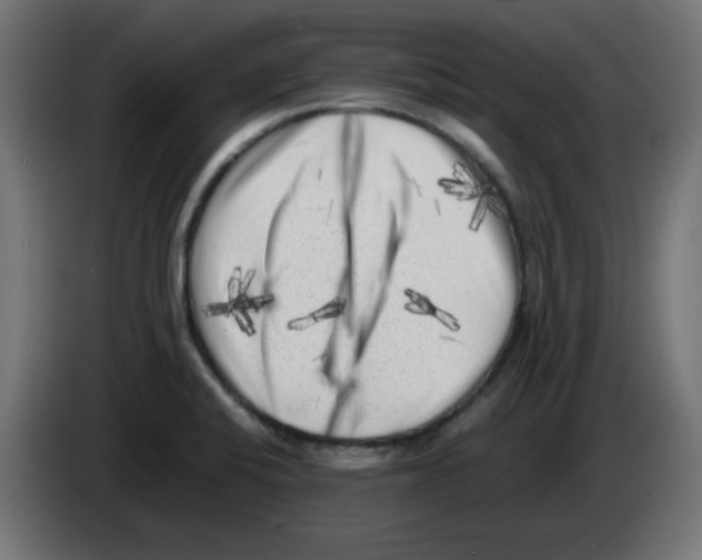 X0000083031424200703022016