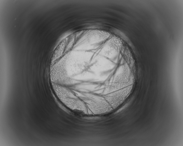 X0000083031425200703022016