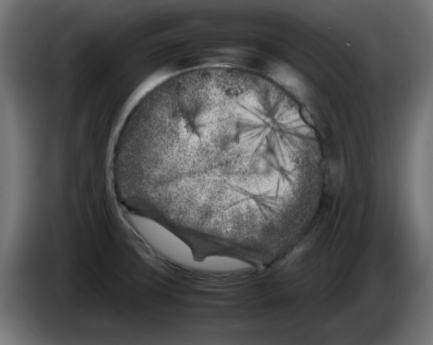 X0000083031427200703022016