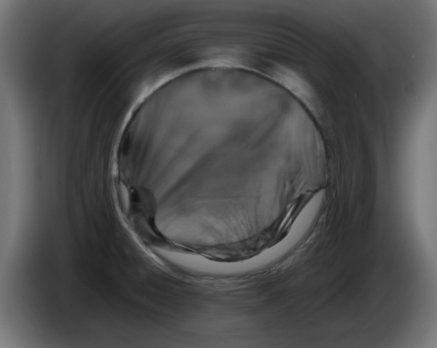 X0000083031428200703022016