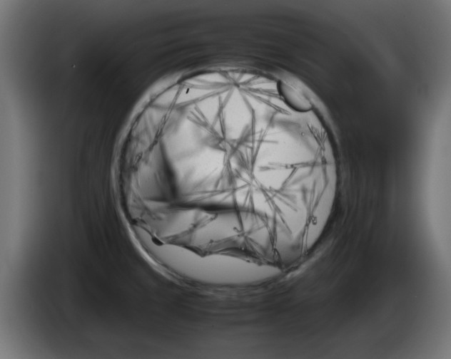 X0000083031429200703022016