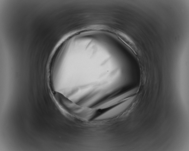 X0000083031430200703022016