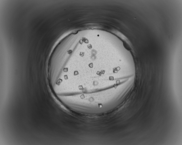 X0000083031431200703022016