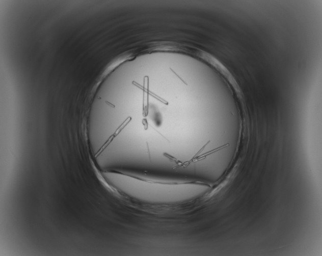 X0000083031433200703022016