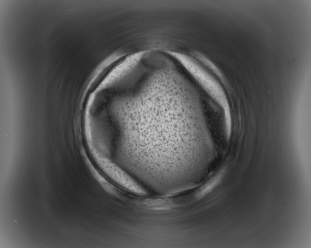 X0000083031434200703022016