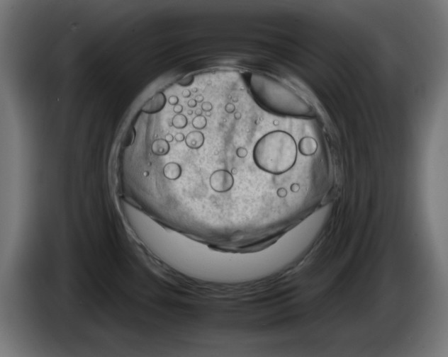 X0000083031435200703022016