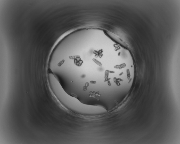 X0000083031436200703022016