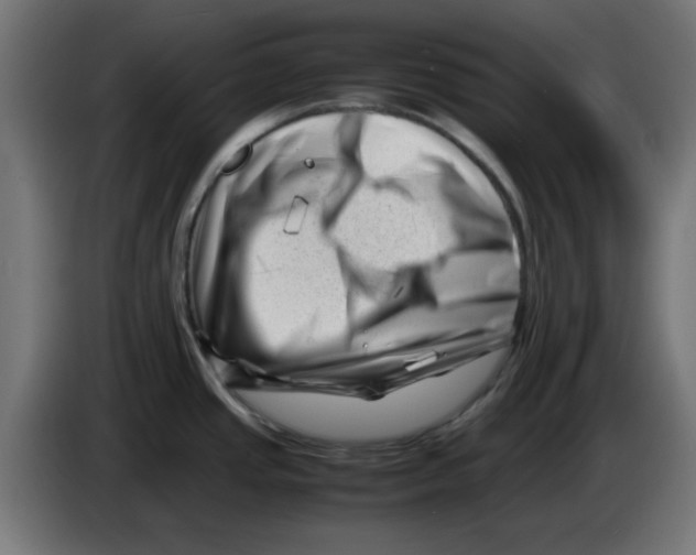 X0000083031437200703022016