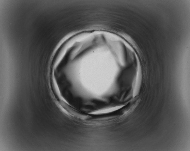 X0000083031438200703022016