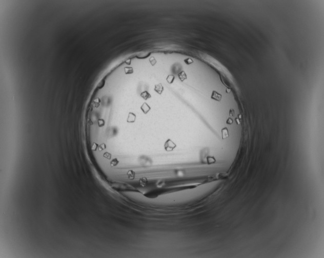 X0000083031439200703022016