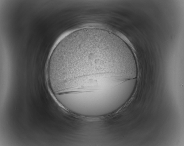 X0000083031440200703022016