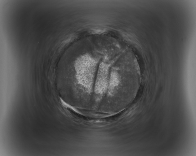 X0000083031441200703022016