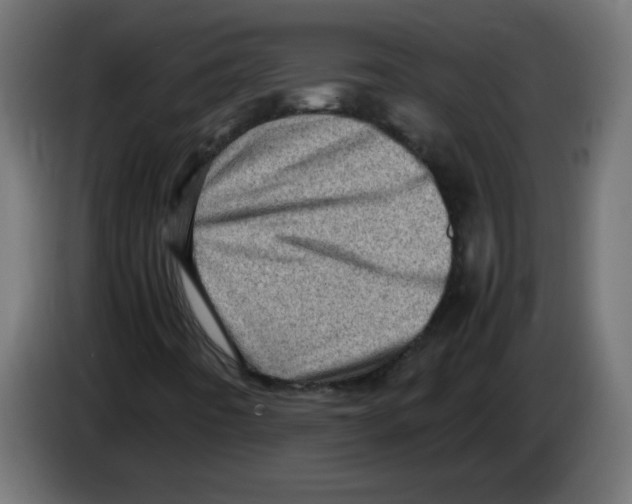 X0000083031442200703022015