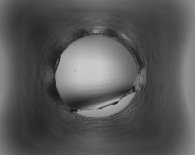 X0000083031443200703022015