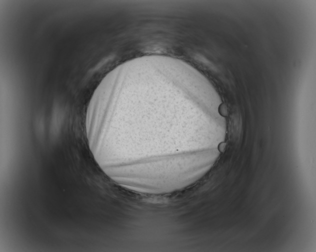 X0000083031446200703022015