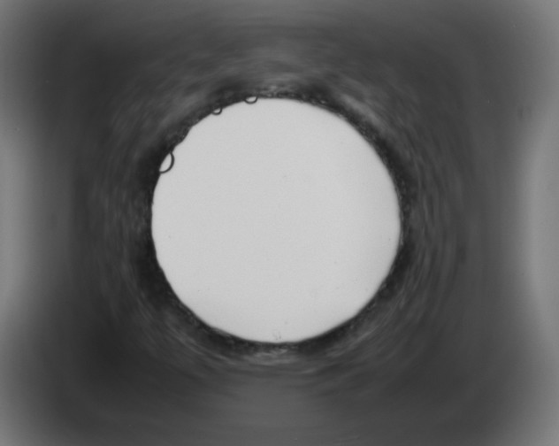 X0000083031447200703022015