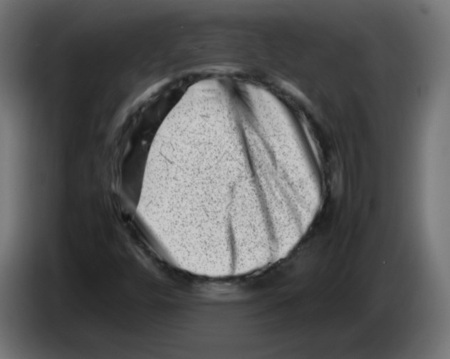 X0000083031448200703022015