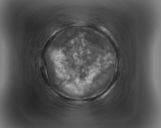 X0000083031449200703022015