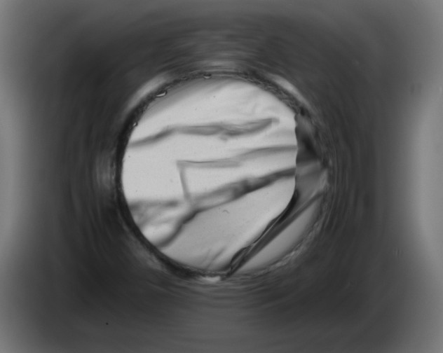 X0000083031450200703022015