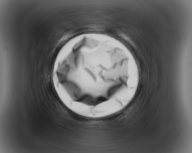 X0000083031451200703022015