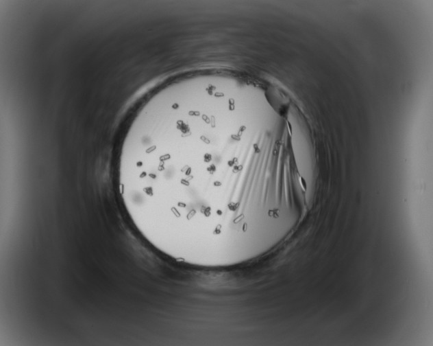 X0000083031452200703022015