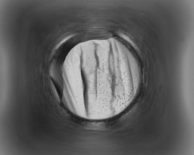 X0000083031453200703022015