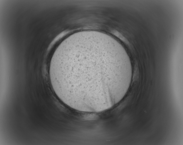 X0000083031454200703022015