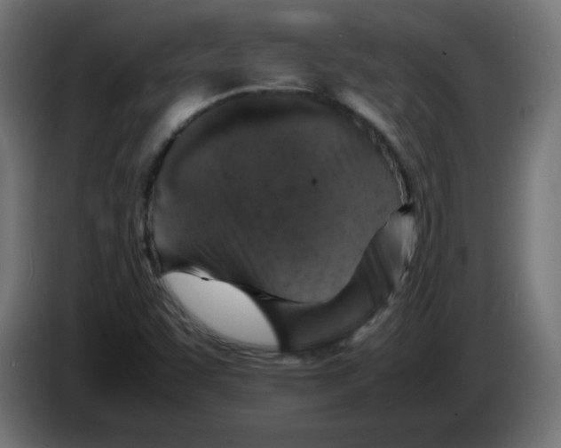 X0000083031455200703022015