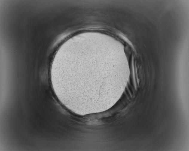 X0000083031456200703022015