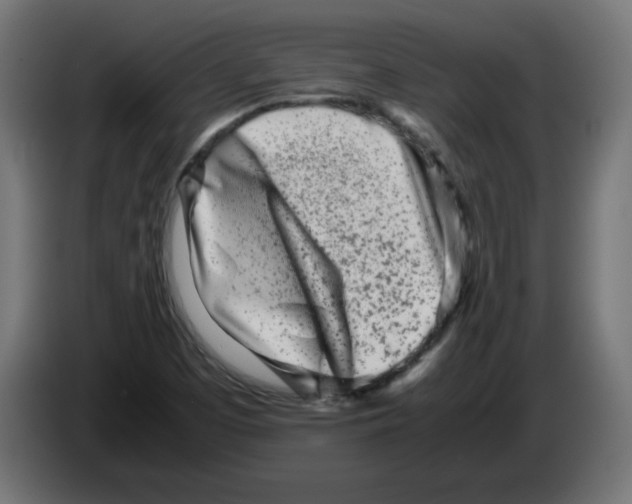 X0000083031457200703022015