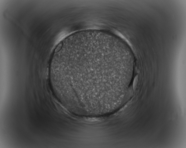 X0000083031459200703022015