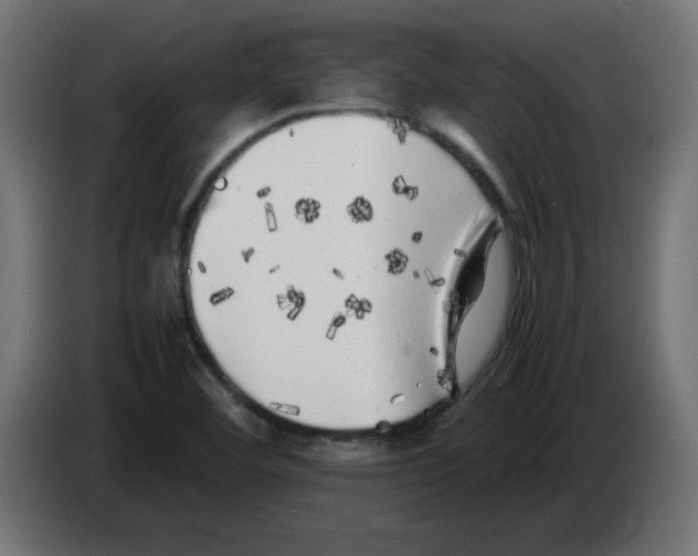 X0000083031460200703022015