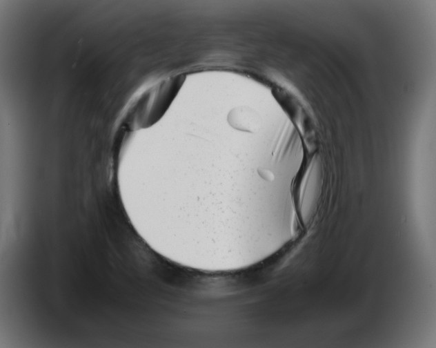 X0000083031461200703022015