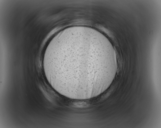 X0000083031462200703022015