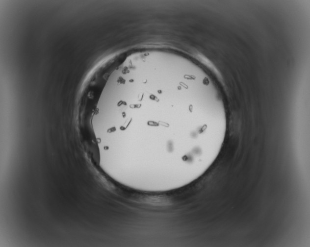 X0000083031464200703022015