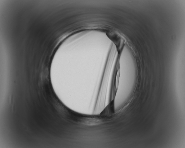 X0000083031465200703022015