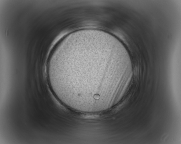 X0000083031466200703022015