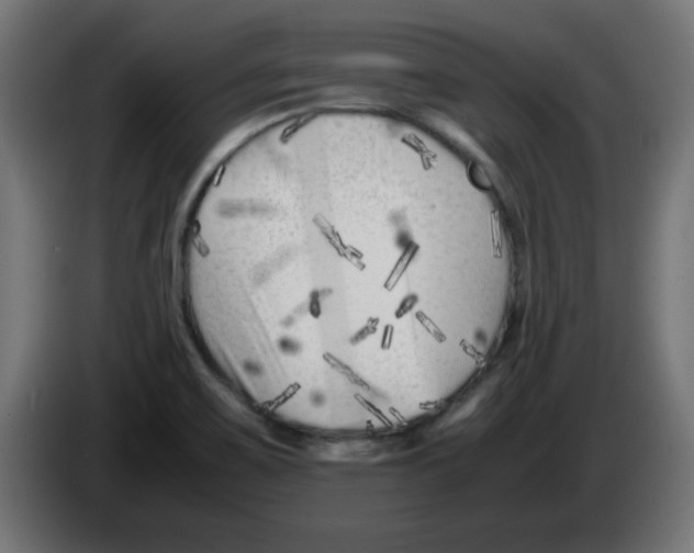 X0000083031467200703022015