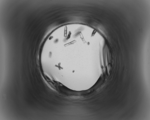 X0000083031468200703022015