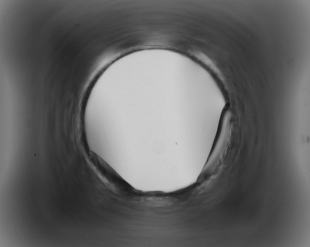 X0000083031469200703022015