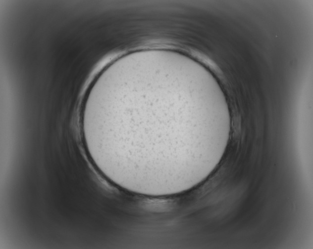 X0000083031470200703022015