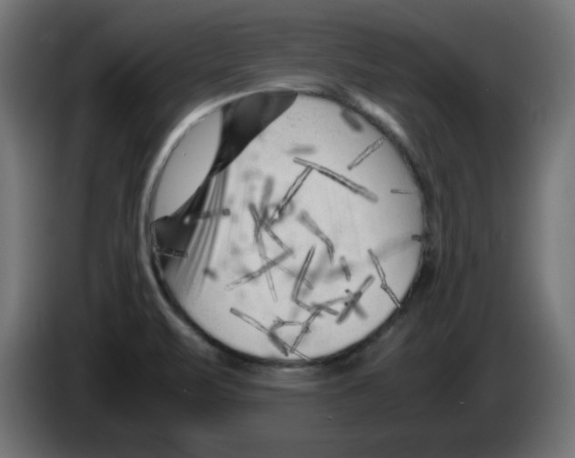 X0000083031471200703022015