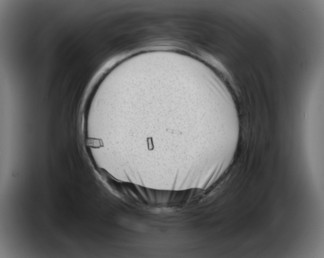 X0000083031472200703022015