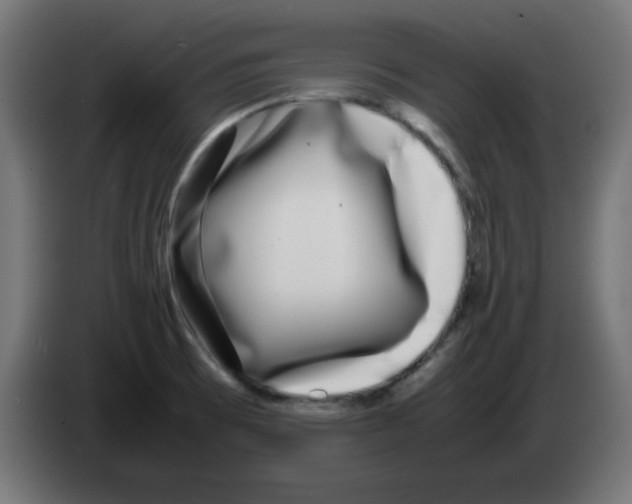 X0000083031473200703022015