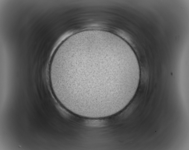 X0000083031474200703022015