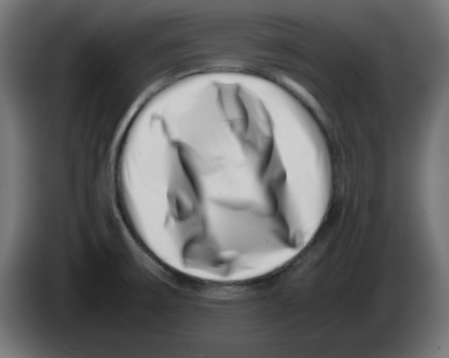 X0000083031475200703022015