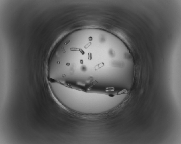 X0000083031476200703022015