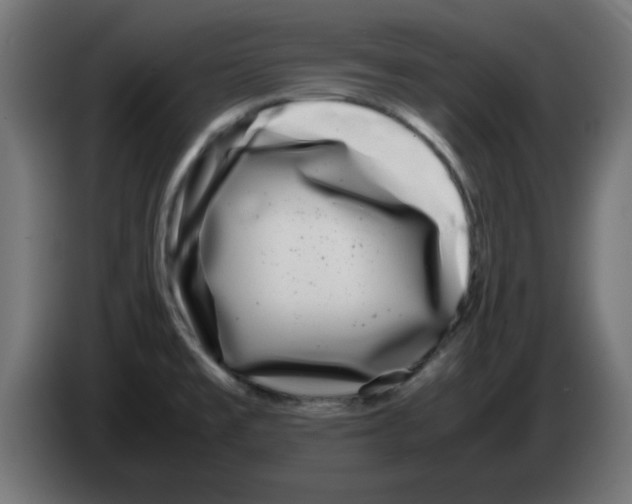 X0000083031477200703022015