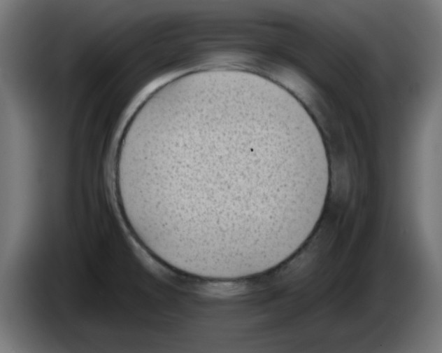 X0000083031478200703022015